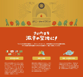 【十色とうがらしファーム】とうがらし＜旬の品種詰合せ＞【11100-0805】