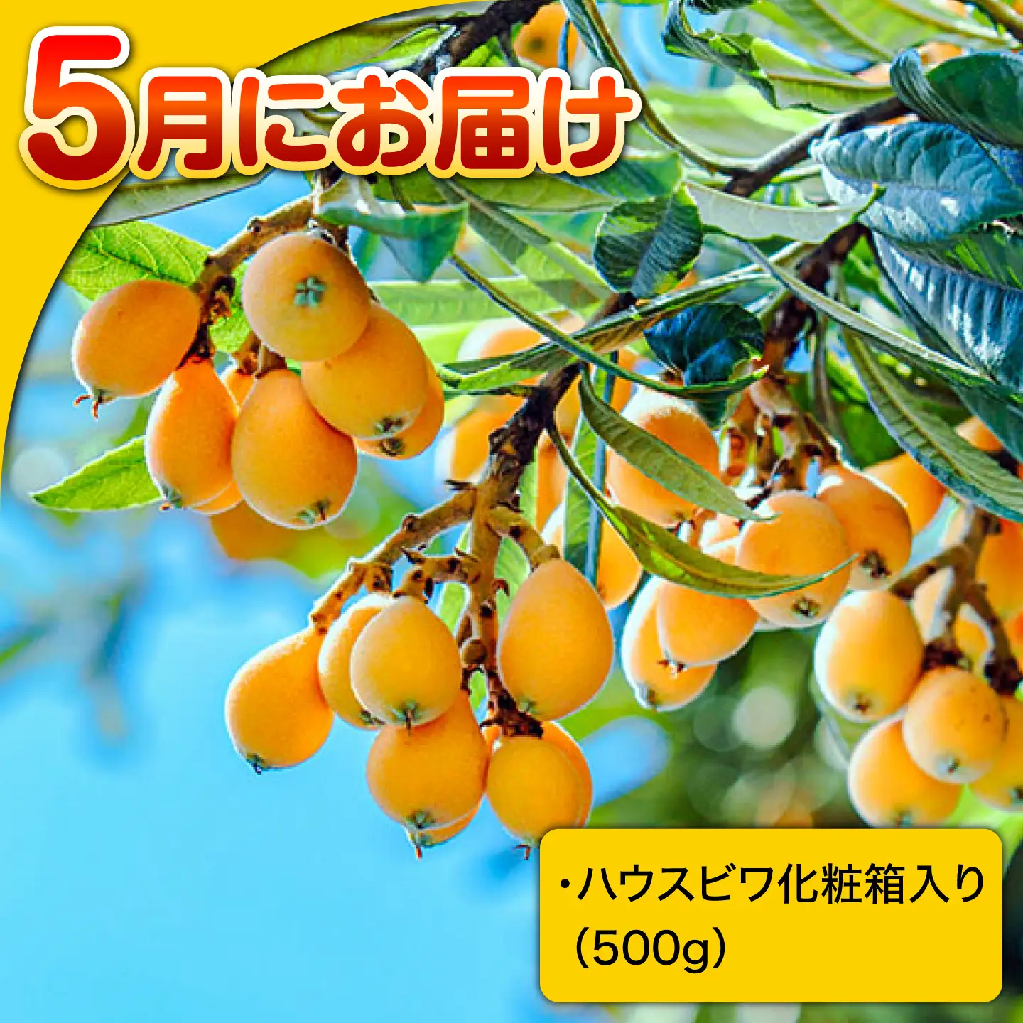 【12回定期便】グルメバラエティ定期便 贅沢宝庫 [SDZ038] バラエティ定期便
