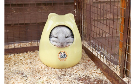 白鳥動物園（ペア）チケット 入場券 優待券 