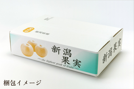 【2024年】【贈答用】和梨 豊水 3kg（6?10玉）《9月上旬から順次発送》 果物 なし 梨 フルーツ 新鮮 新潟のフルーツ産地 加茂市 まるさん金子果樹園 梨