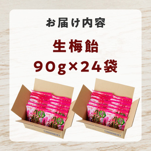 生梅飴 梅飴 梅キャンディ 紀州 南高梅 梅肉エキス ペースト お菓子 あめ キャンディー 飴 個包装 袋 リボン RIBON [109R02] 