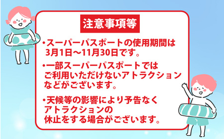 芝政ワールド スーパーパスポート1名様（おとな1名） 遊園地 プール チケット レジャー施設 [A-3902]