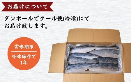 訳あり 塩鯖フィレ 3.5kg サバ サバ サバ 鯖 鯖 荒野商店