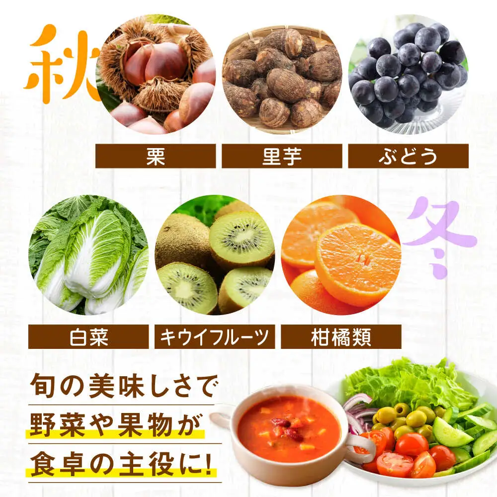 野菜セット【全3回定期便】野菜詰め合わせ（6種以上）[AGAP015]
