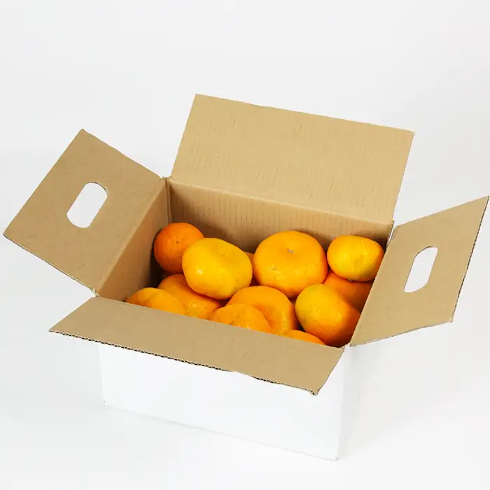 ハウスみかん (訳あり) 約2.5kg【オレンジ農園】 夏 果物 フルーツ 数量限定 期間限定 九州 大分県 ＜114-001＞
