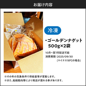 完熟 とれたて 凍らせ マンゴー 1kg （ ゴールデンナゲット ） C063-002 果物 フルーツ 冷凍