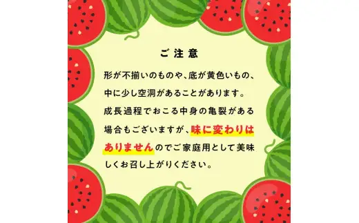 スイカ1玉(約10㎏級) N0195-YA3331