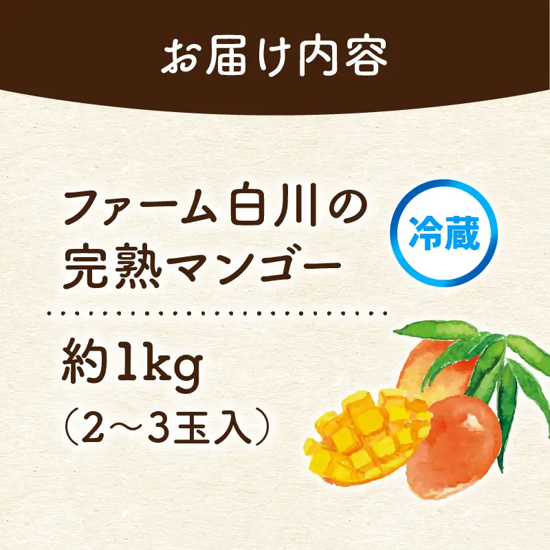 【 2027年先行予約 】ファーム白川の完熟マンゴー1kg C032-002 マンゴー 完熟マンゴー