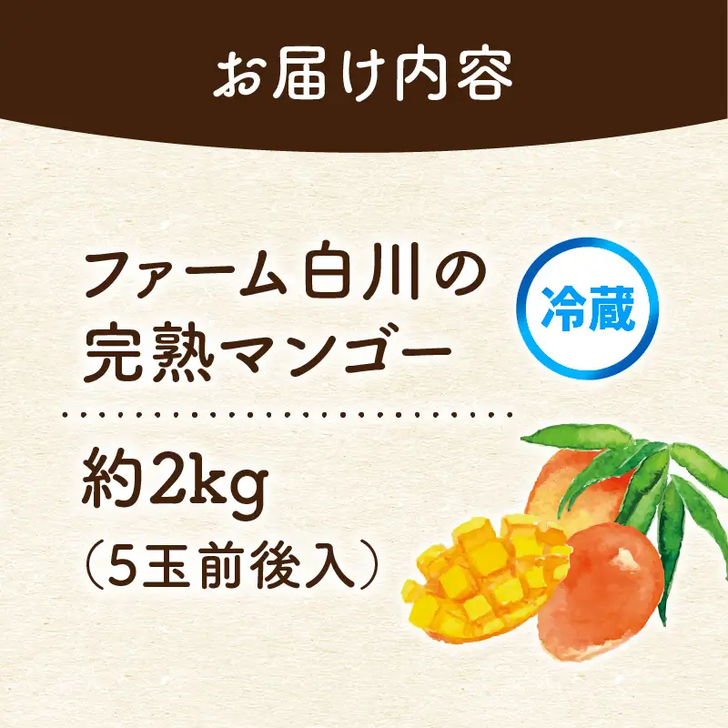 【 2027年先行予約 】ファーム白川の完熟マンゴー2kg C032-003 マンゴー 完熟マンゴー