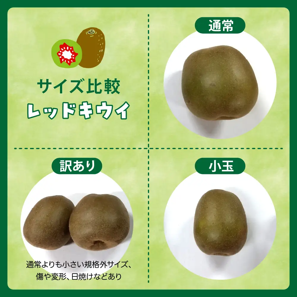 【先行受付】【2026年9月下旬～発送】希少品種「 レッドキウイ 」国産 約1kg ku033-002-26