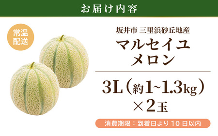 マルセイユメロン（赤肉メロン）3L 2玉入り（1玉：約1～1.3kg） 2027年6月上旬以降発送 [A-19207]