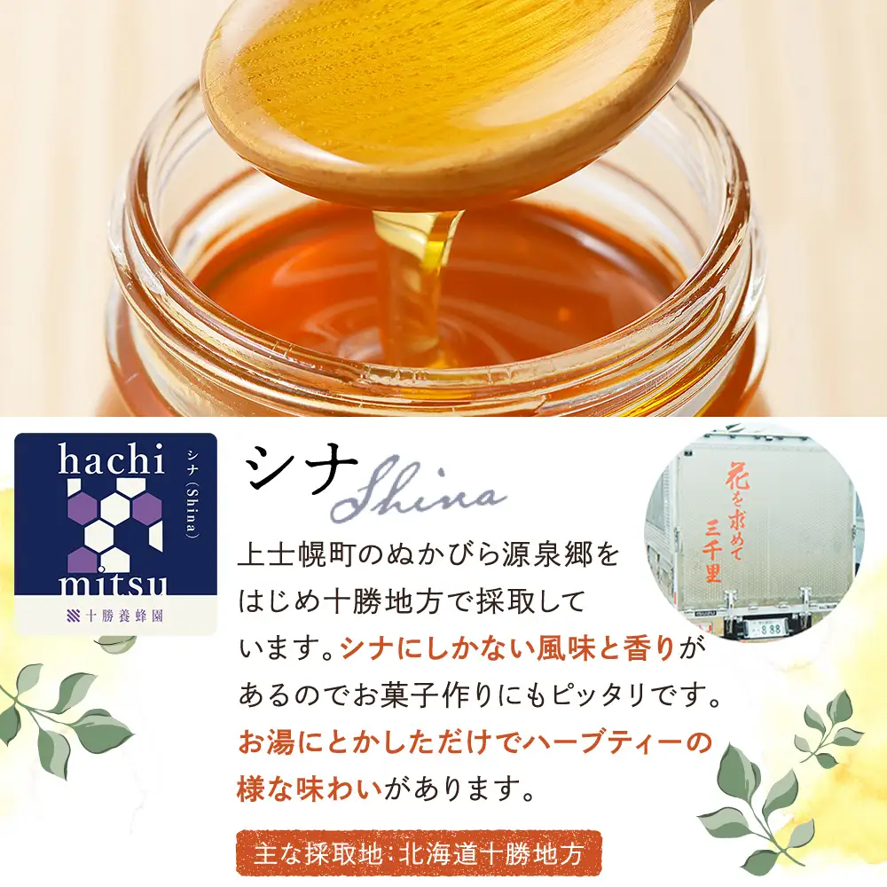 十勝養蜂園 蜂蜜 はちみつ ハチミツ 国産 シナ（菩提樹） 計1kg（500g×2個） 純粋蜂蜜 無添加蜂蜜 高糖度蜂蜜 保存食 ギフト 母の日 父の日 敬老の日 北のハイグレード食品2024受賞