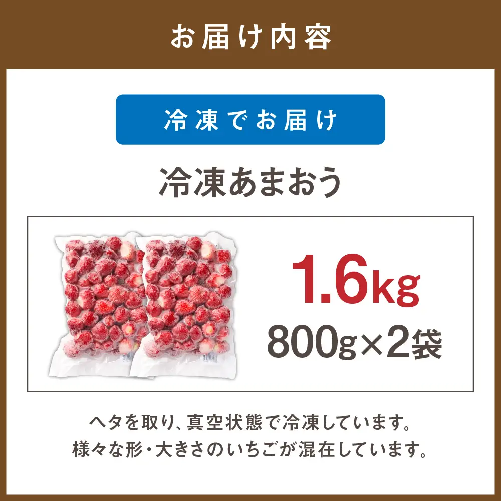 急速冷凍！人気のあまおう 冷凍いちご　福岡県特産品　大容量 1.6kg【JAほたるの里】_HA1513