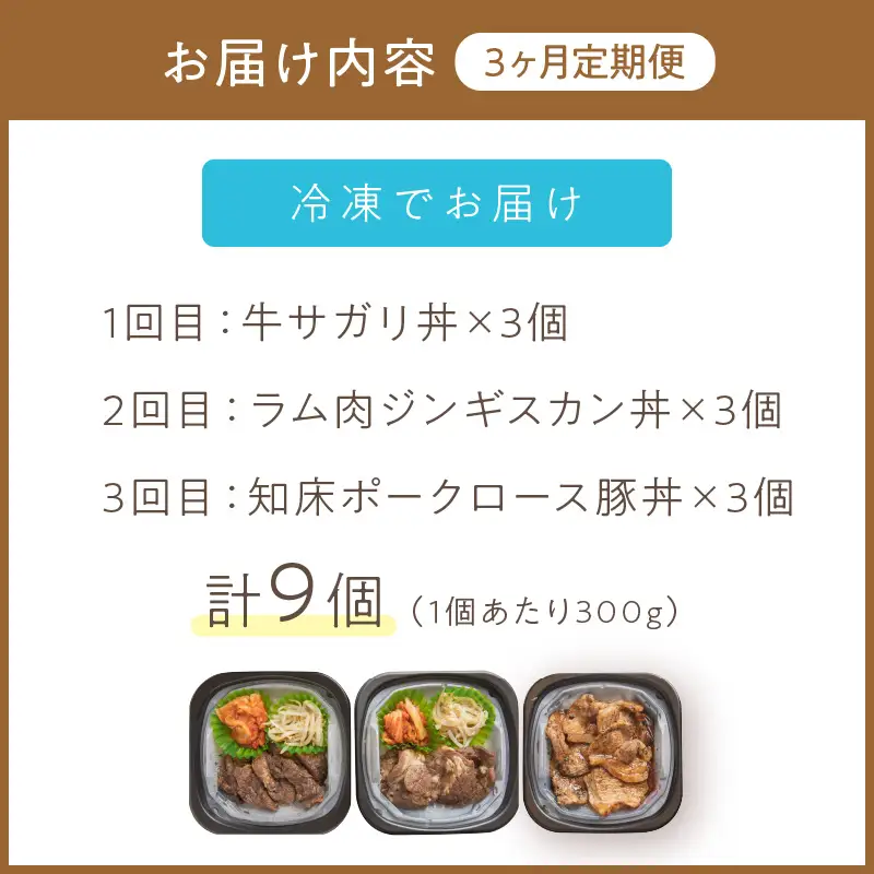 【3ヶ月定期便】レンジで丼！とん久セット ( 牛肉 ラム 豚肉 弁当 総菜 冷凍 簡単調理 )【999-0253】