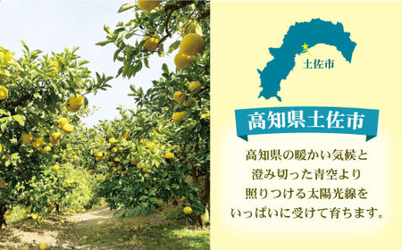 【先行予約】【訳あり】土佐文旦 加工用（M?5L混合）約10kg〈2027年2月中旬?発送〉/ 文旦 10キロ 約16?30玉 ぶんたん ブンタン 柑橘 果物 フルーツ【株式会社とさもん】 [BQAE034]