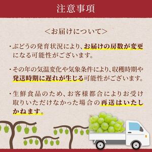 【期間限定発送】 ぶどう 4回 定期便 高畠町産 ぶどう満喫 セット