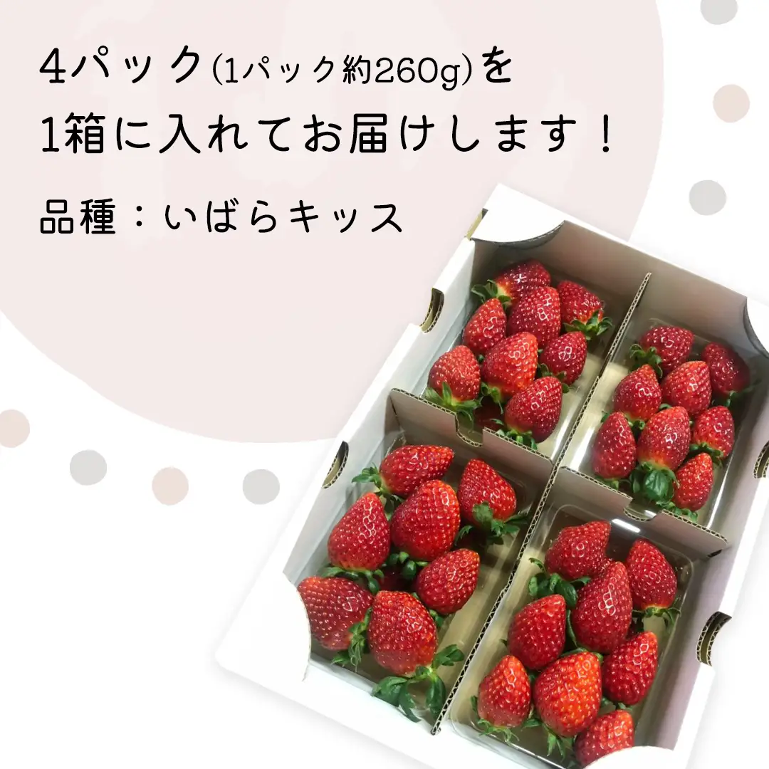 【 先行予約 】 茨城県品種 いばら キッス ( 4パック×1箱 )【 2027年1月から発送開始 】 （常陸太田市 共通返礼品 ) 
