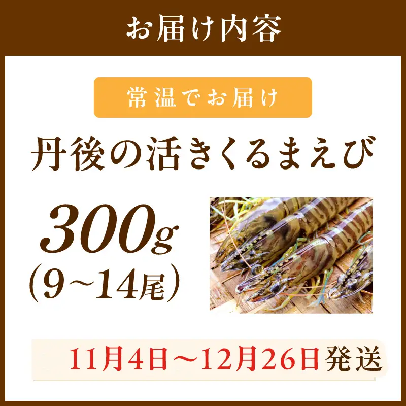 丹後の活きくるまえび 300g（9～14尾） えび