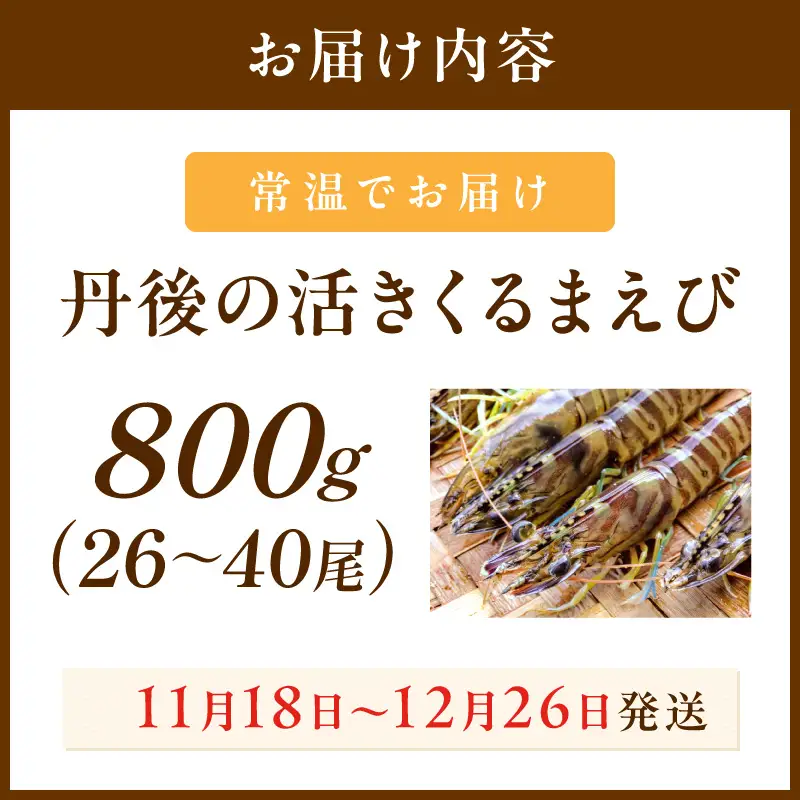丹後の活きくるまえび 800g（26～40尾）えび