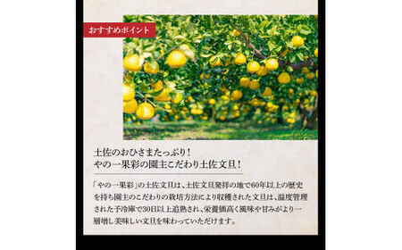 【全3回定期便】土佐市まるごと定期コース（ハヤシの花ダブル30ロール・土佐文旦3kg・生カツオ藁焼きタタキ3~5人前）高知県土佐市 【土佐市役所】 [BQCD012]