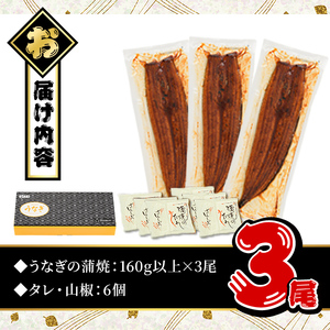 無投薬！鹿児島県産うなぎ蒲焼セット＜特上＞(計480g以上・ 160g以上×3尾) タレ・山椒付き 鰻 ウナギ 国産【西日本養鰻】A506-v01