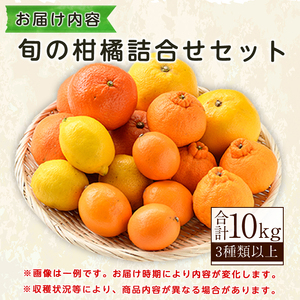 ＜2026年12月発送分！＞旬の柑橘詰合せセット (約10kg) 国産 鹿児島県 阿久根市 果実 果物 フルーツ 柑橘 みかん ミカン 旬 詰め合わせ セット【桐野柑橘株式会社】akn070-16-m12