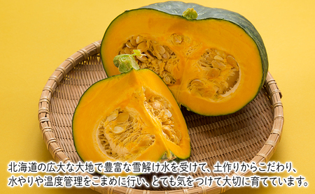 野菜・果物セット 富良野 とうもろこし メロン かぼちゃ【定期便 年3回】