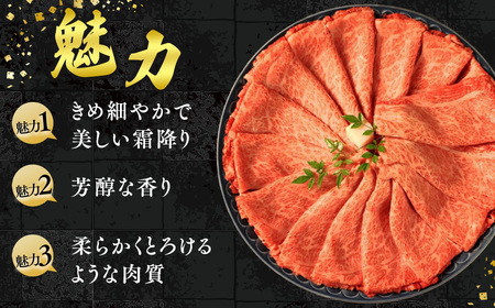 [A5等級] 飛騨牛 霜降り 牛肉 すき焼き ・ しゃぶしゃぶ 用 ロース スライス 400g A5 