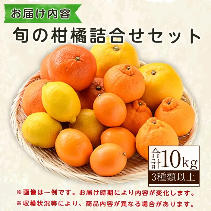 ＜2027年3月発送分！＞旬の柑橘詰合せセット (約10kg) 国産 鹿児島県 阿久根市 果実 果物 フルーツ 柑橘 みかん ミカン 旬 詰め合わせ セット【桐野柑橘株式会社】akn070-16-m03