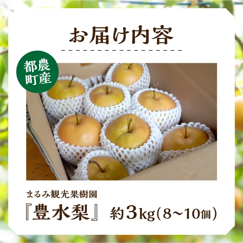 先行予約≪期間限定≫まるみ観光果樹園の『豊水梨』(約3kg) なし 果物 フルーツ 天然 ミネラル栽培_T036-0015