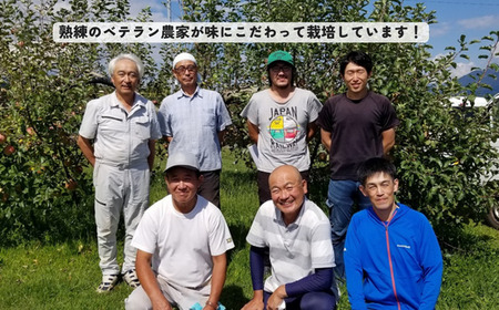 KR08 りんご 秋映（大玉）約5kg 贈答 / 2026年10月上旬頃～配送予定 // 長野県 南信州 松川町産 ギフト リンゴ 林檎 あきばえ 農家直送 農家支援 産地直送
