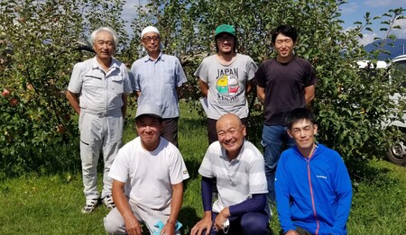 KR30 りんご シナノスイート 家庭用 約5kg（10～16玉） 長野県松川町産／10月中旬頃～配送予定 // 長野県 南信州 松川町産 リンゴ 林檎 自家用 訳あり 農家直送 農家支援 産地直送