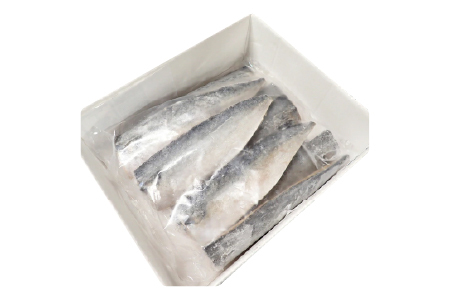 根室海鮮市場＜直送＞塩さばフィーレ11枚入×1P(計約1.5kg) G-28021