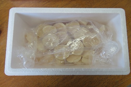 生冷凍ホタテ貝柱800g×1P B-59019