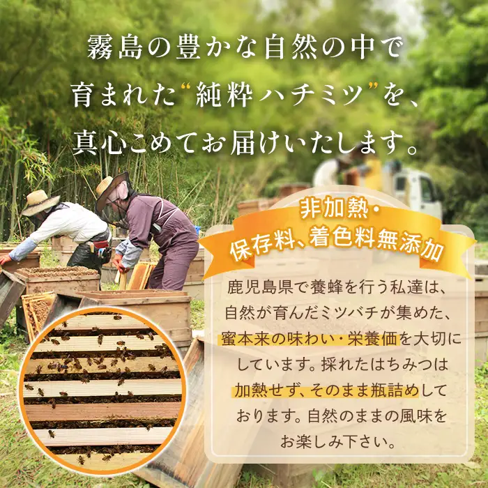 K-203-B ＜数量限定＞霧島産れんげ蜜(500g) ＜無添加 非加熱 着色料・保存料不使用＞ 純粋ハチミツ 100%天然【冨吉養蜂】霧島市 はちみつ 蜂蜜 ハニー 純粋 純国産