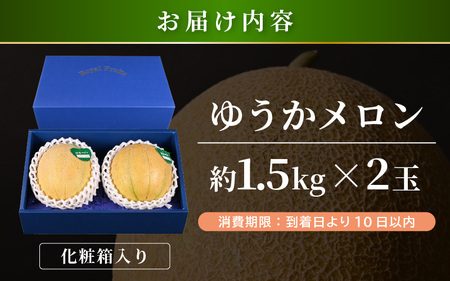 「ゆうかメロン」（青肉系メロン）2玉入り（1玉1.5kg前後） 2027年6月上旬以降発送 [A-19210]