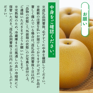 梨 旬 約3kg 彦根梨 豊水 9月発送