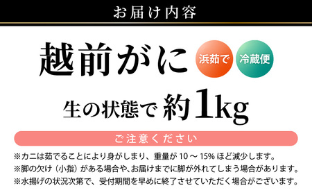 【先行予約】越前ガニ 大サイズ (茹で前約1kg) × 1杯 【2027年2月上旬以降順次発送予定】越前ガニ ズワイガニ [m17-x001_02]