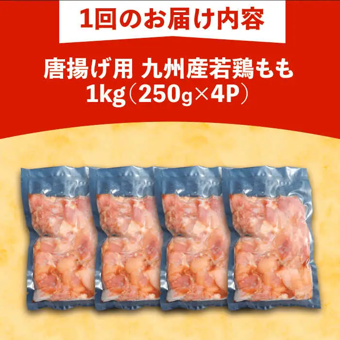 【全12回定期便】お肉屋の唐揚げ 1kg 九州産若鶏モモ肉・ニンニク使用[VAJ015] 鶏肉 からあげ