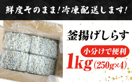 冷凍釜揚げしらす1kg しらす[XCN001]