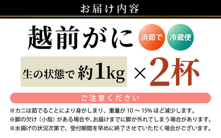 【先行予約】然 越前がに 大サイズ (茹で前約1kg) × 2杯 【2027年2月上旬以降順次発送予定】浜茹で 越前がに [m17-x002_02]
