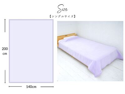 綿100% シングルサイズ 毛布 ラベンダー 毛布の町泉大津産 [5036]