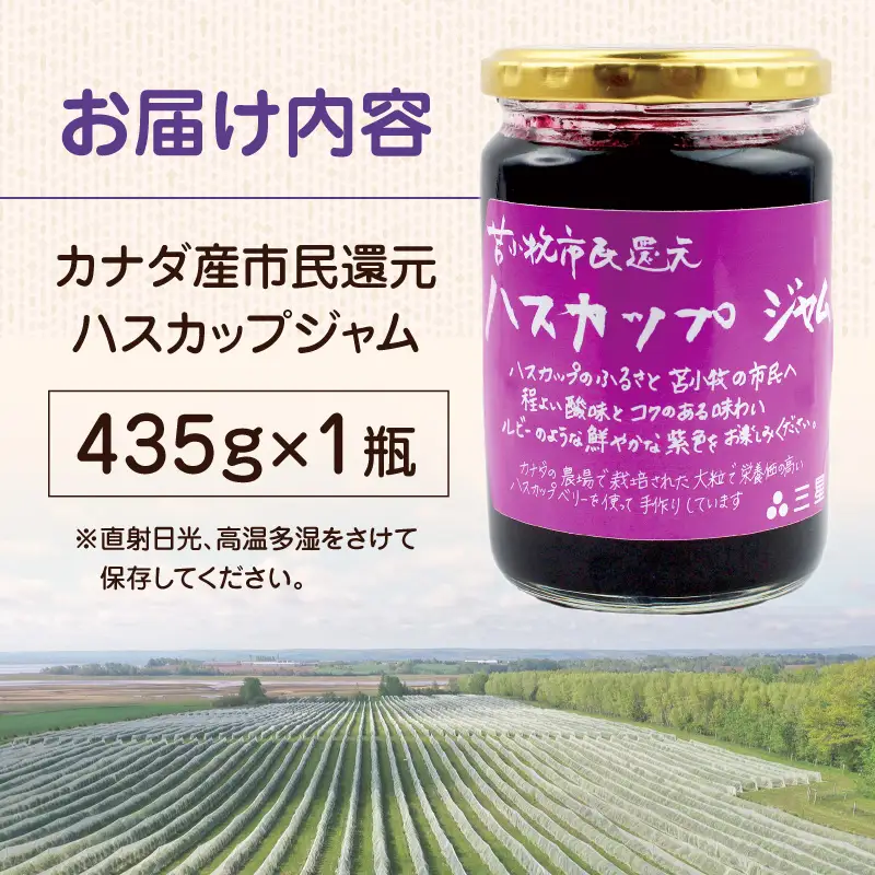 カナダ産 苫小牧市民還元 ハスカップジャム 435g（1瓶） T044-017 果物 加工品