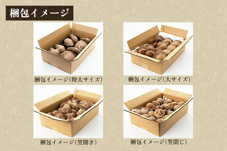 【2026年先行予約】【訳あり】生しいたけ 笠開き 約1.3kg（24〜40個）《10月中旬～順次出荷》
