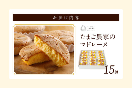 たまご農家 マドレーヌ（15個）ふるさと納税 ふんわり食感 マドレーヌ ココテラス 洋菓子 デイリーファーム デザート スイーツ 人気 たまごとバター こだわりスイーツ ティータイム アフターヌーンティー ギフト 人気 焼き菓子 手土産