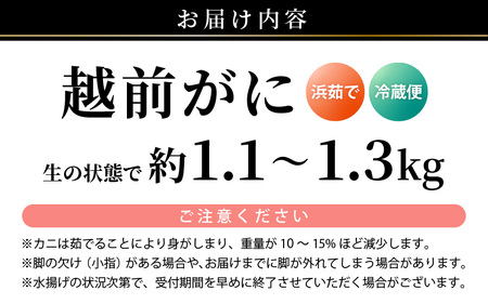 【先行予約】天然 越前がに 特大 (茹で前1.1～1.3kg) × 1杯 冷蔵ですので、届いてすぐお召し上がりいただけます！ タグ付 福井を代表する冬の味覚！【2026年11月中旬以降順次発送予定】【越前ガニ 越前蟹 かに ずわい ズワイ 福井】[m17-x003_11] 