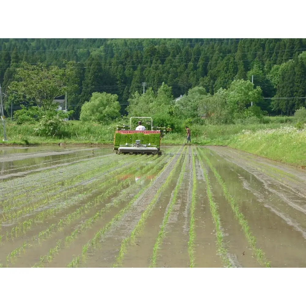 【令和8年 新米】最優秀賞受賞【減農薬】最高峰南魚沼産こしひかり5kg　 | こしひかり