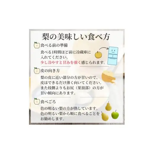 新興 5kg 7～12玉 しろいの梨 日持ちする梨 おすすめ 美味しい シャキシャキ食感