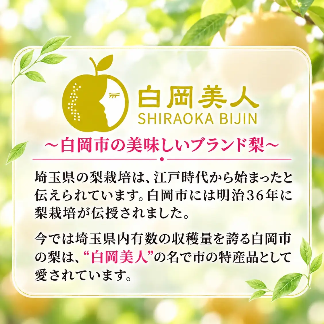 【R9先行予約】【糖度保障・完熟】八木澤農園の美味しい梨　約3kg　「白岡美人」幸水・豊水・あきづき