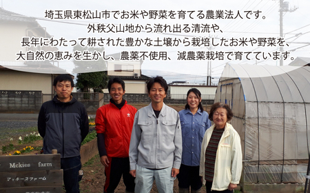 米 令和8年産 五百川 5kg (ごひゃくがわ) | 米 5kg こめ 白米 埼玉県 東松山市